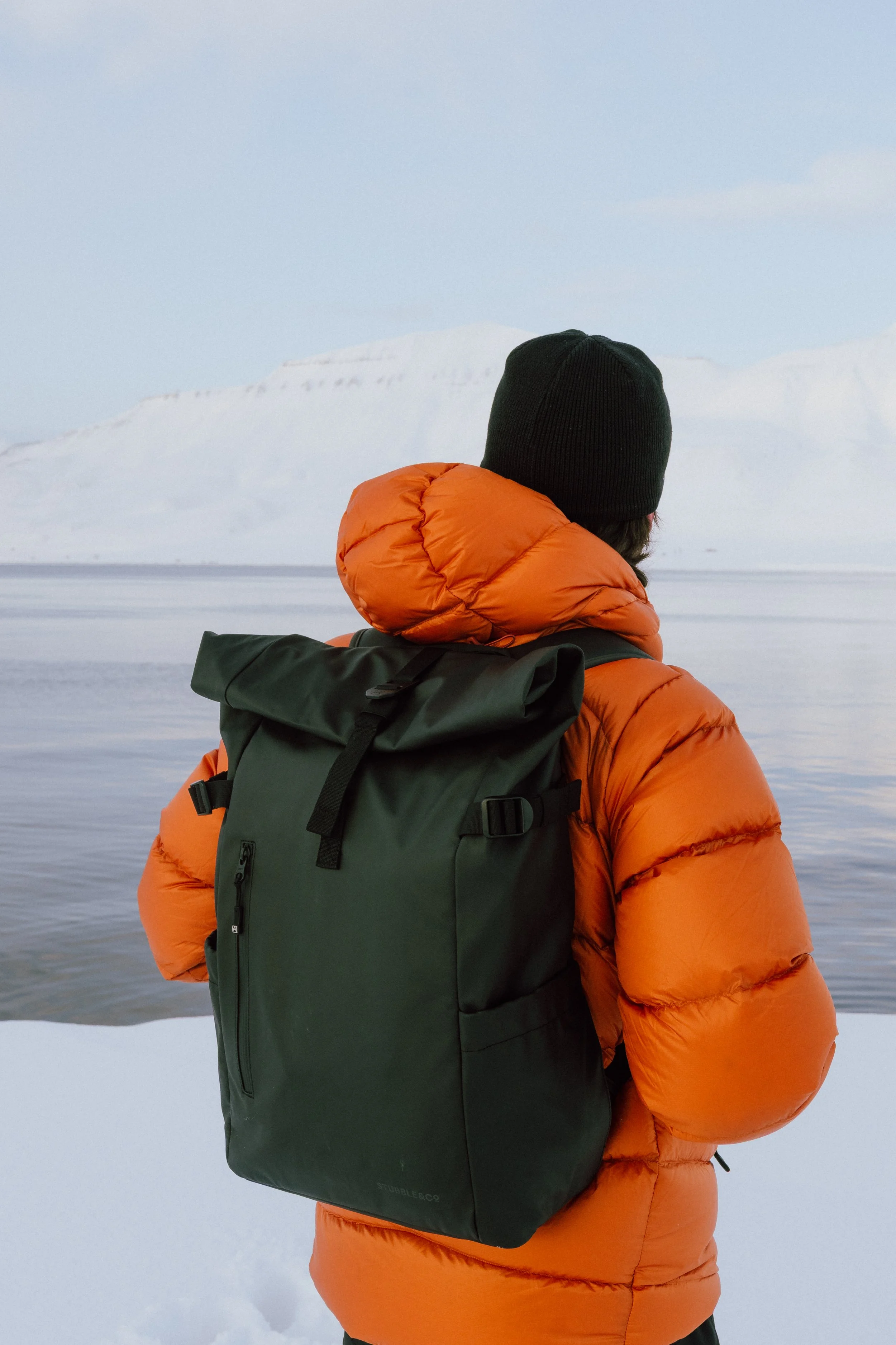 Stubble_mig.sousa_Svalbard_Lofoten_Mar25_8.jpg