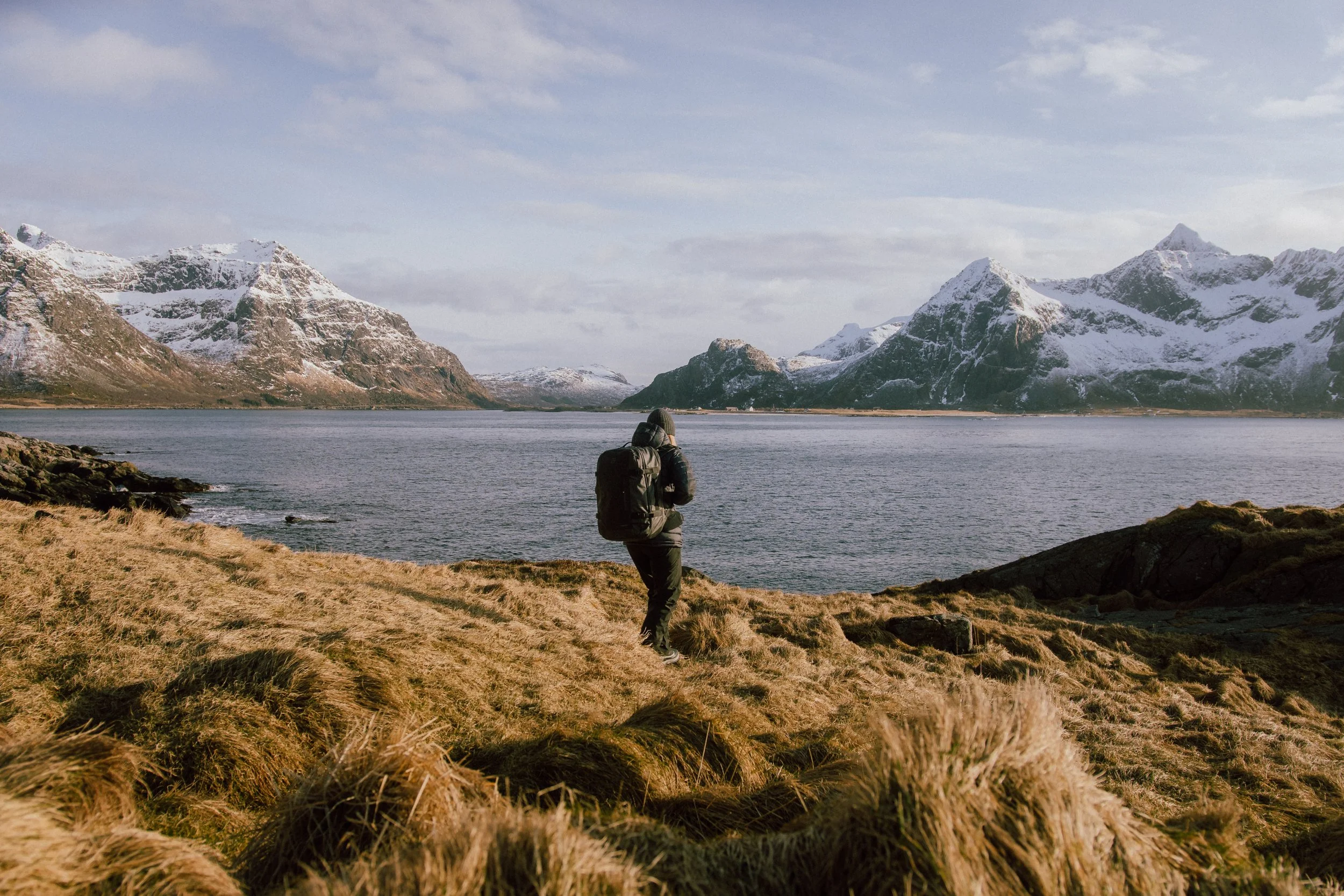 Stubble_mig.sousa_Svalbard_Lofoten_Mar25_30.jpg