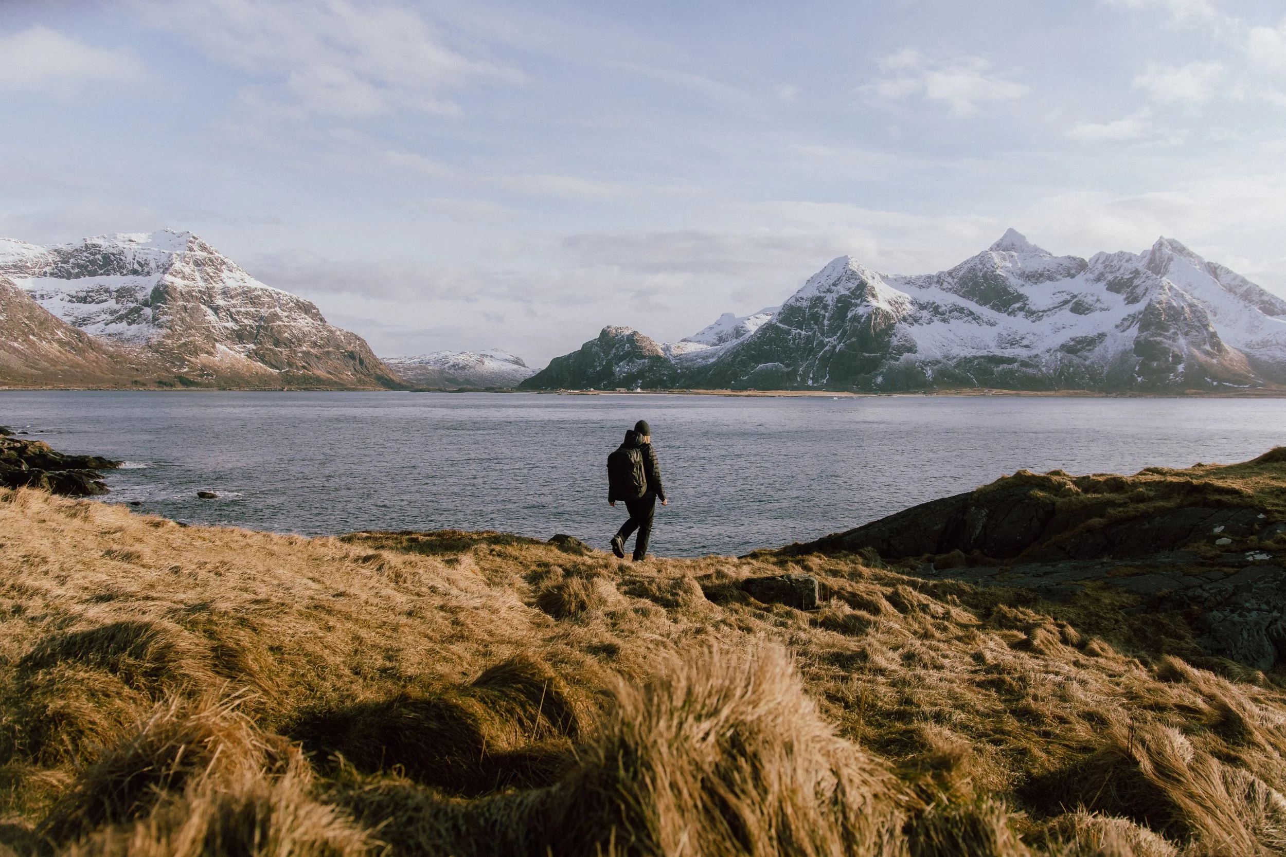Stubble_mig.sousa_Svalbard_Lofoten_Mar25_31.jpg