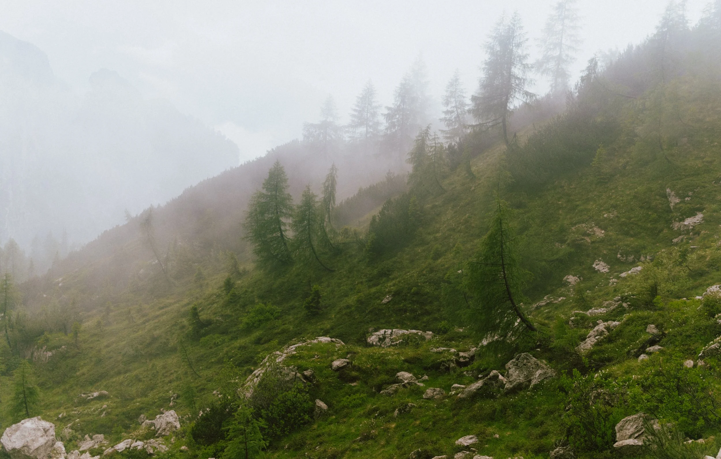 Italy_Dolomites_AltaVia1_2024-183.jpg