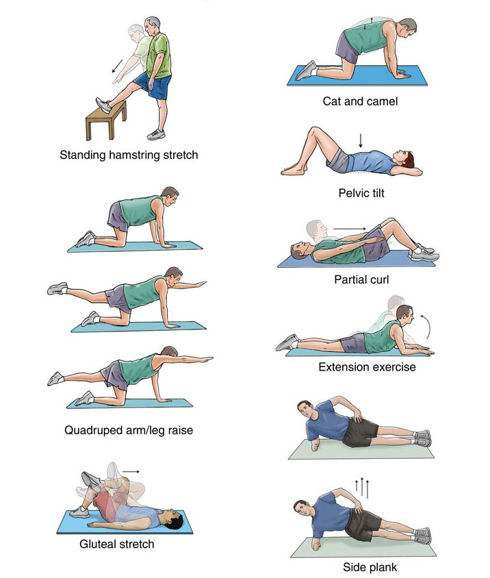 healthbackexercises.jpg
