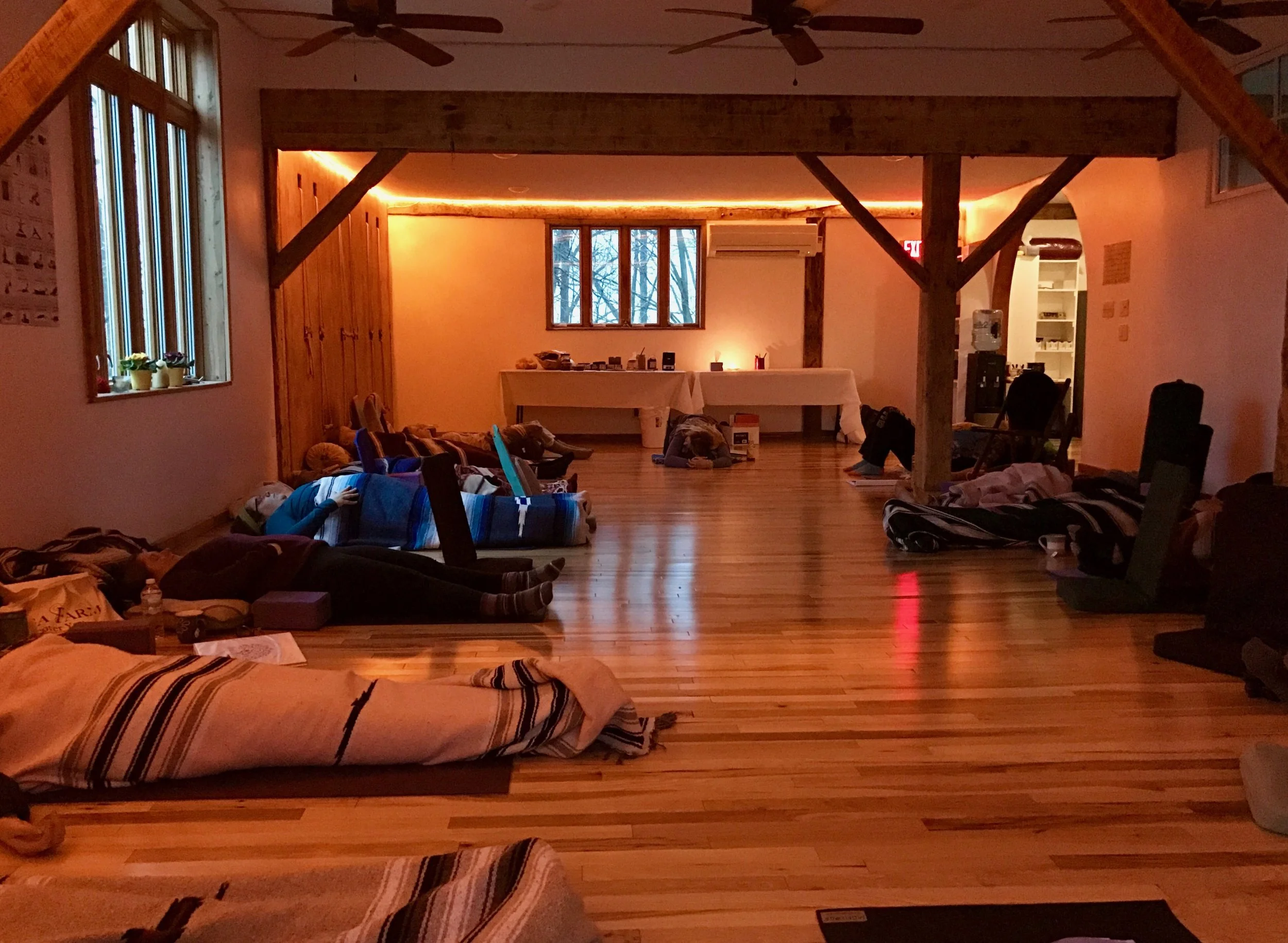 200 & 300 hr Online Yoga Teacher Training Certifications in Vinyasa, Hatha, Qigong and Kundalini