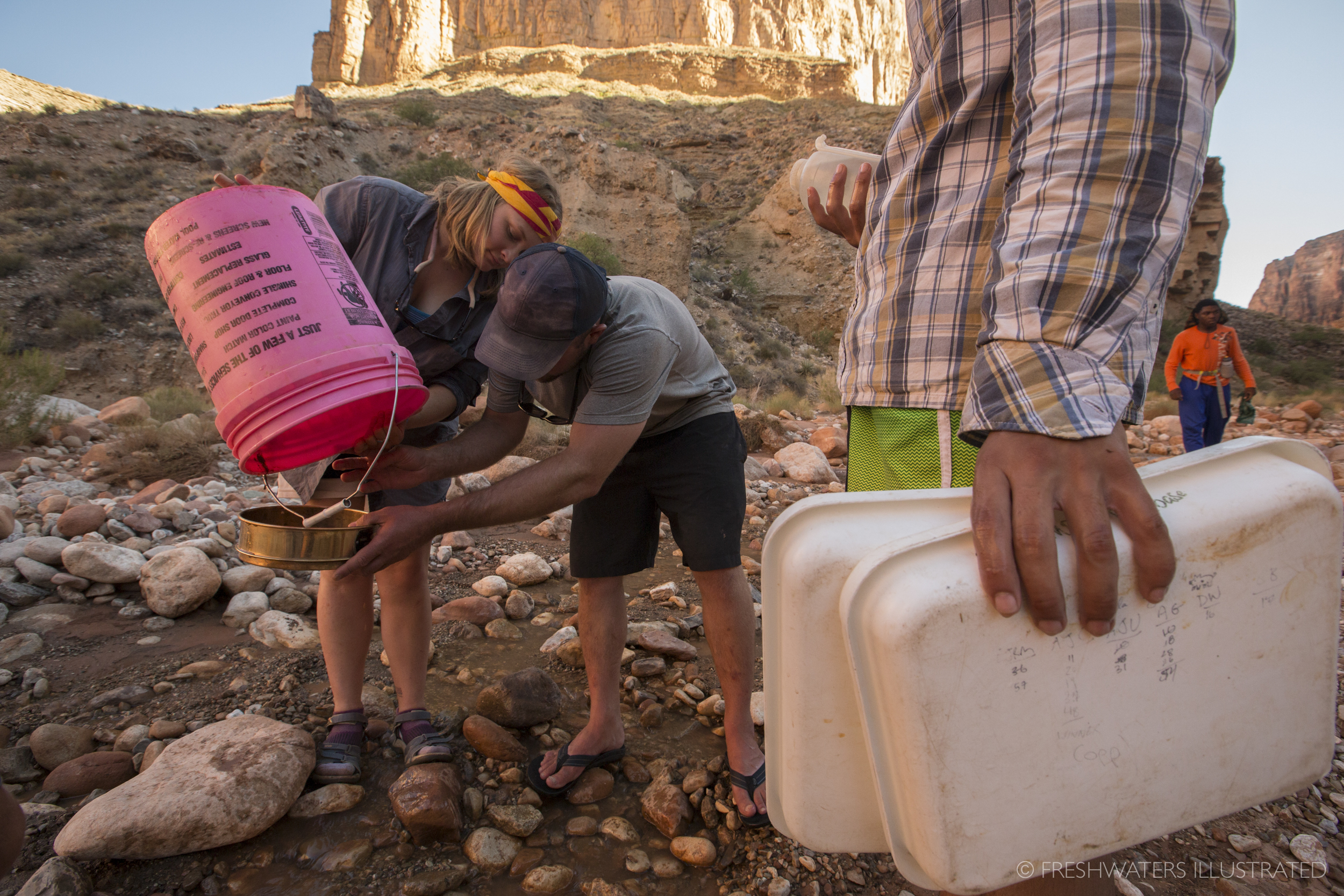  The Grand Canyon is heralded as one of the most wild and iconic landscapes of the West. Yet, this seemingly untouched and natural wonder has been shaped by more than just the mighty Colorado River itself. Recent research conducted by the USGS has do