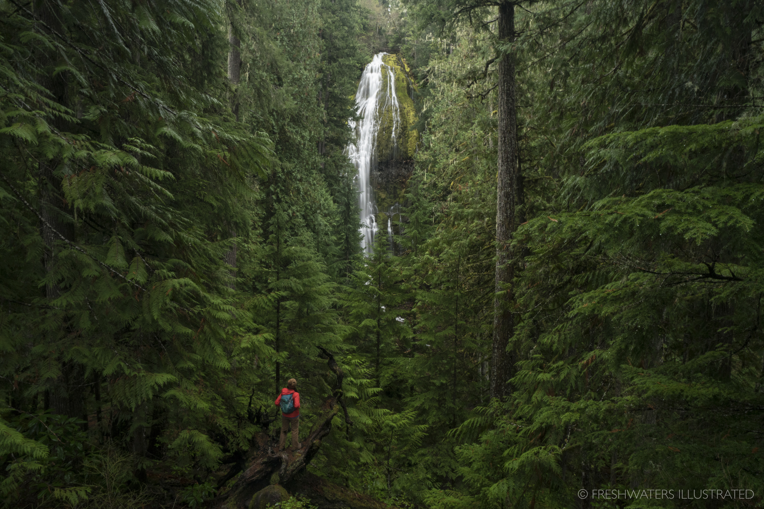  Waterfall hiking Proxy falls, Oregon 