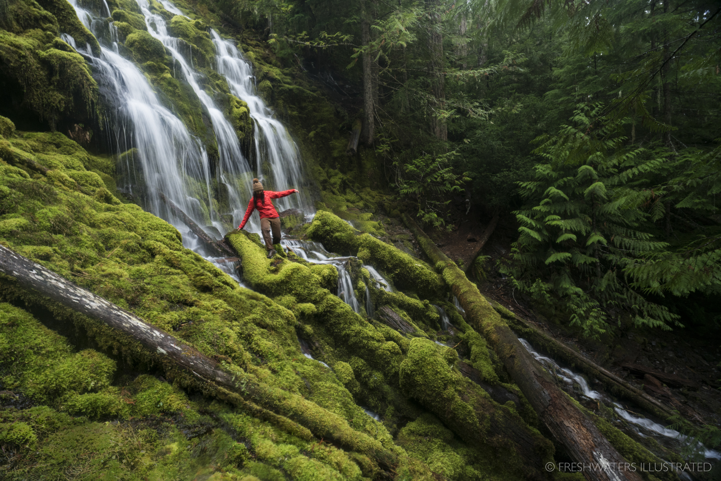  Waterfall hiking Proxy Falls, Oregon 