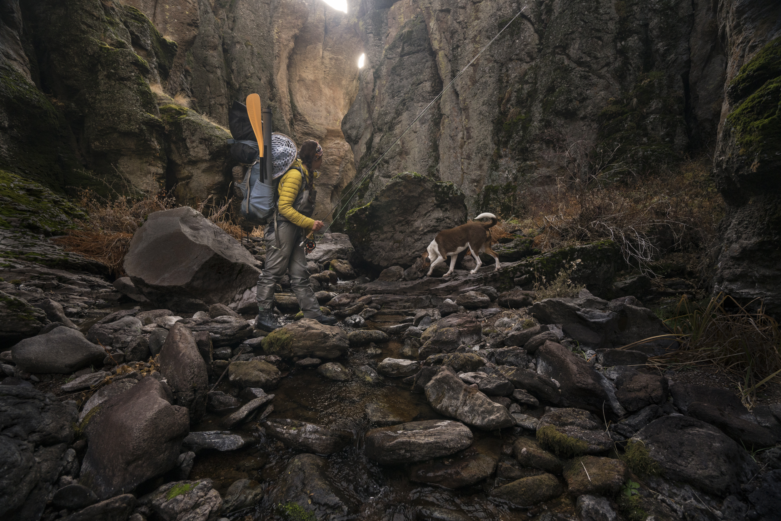  Descending into the underworld of Oregon's Owyhee Canyonlands,&nbsp; a &nbsp;hiker and her nimble hound navigate a labyrinth of steep walls and hoodoo spires in search of native redband trout.&nbsp;  Middle Fork Owyhee River, Oregon 