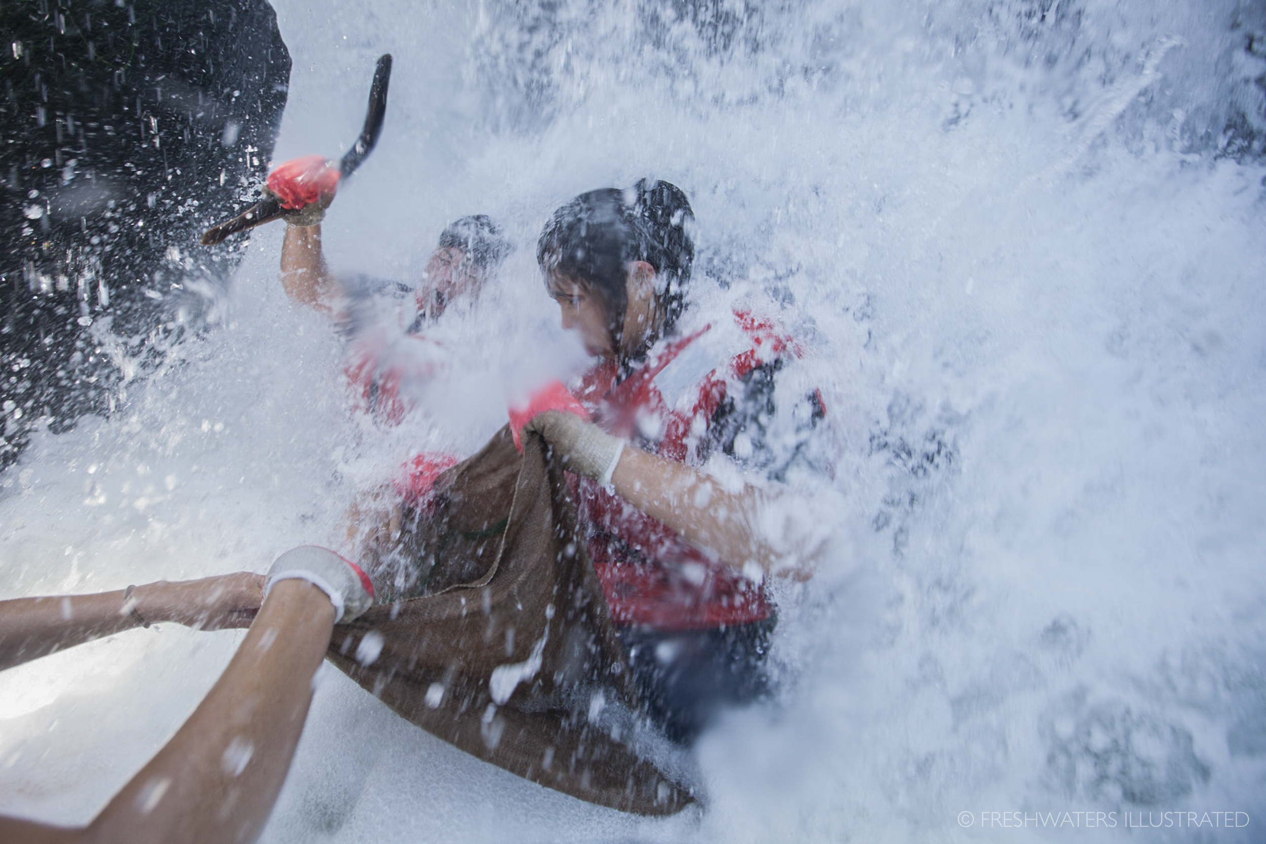  Warm Springs tribal members brave the pounding waters of Oregon's Willamette Falls to harvest Pacific lamprey. The Willamette is one of the last places left in the Columbia Basin that tribes can still catch sustainable numbers of this disappearing f