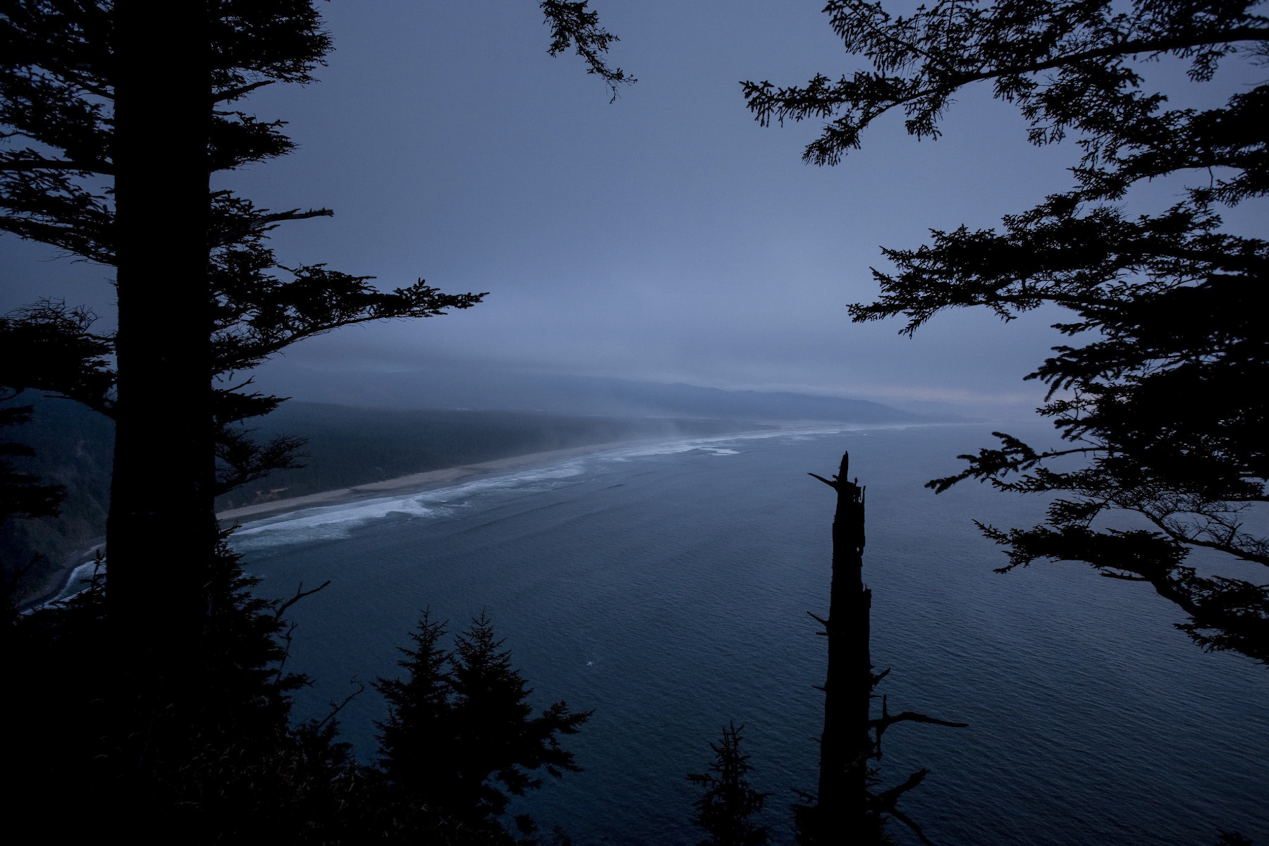  Coast through the trees, Oregon 