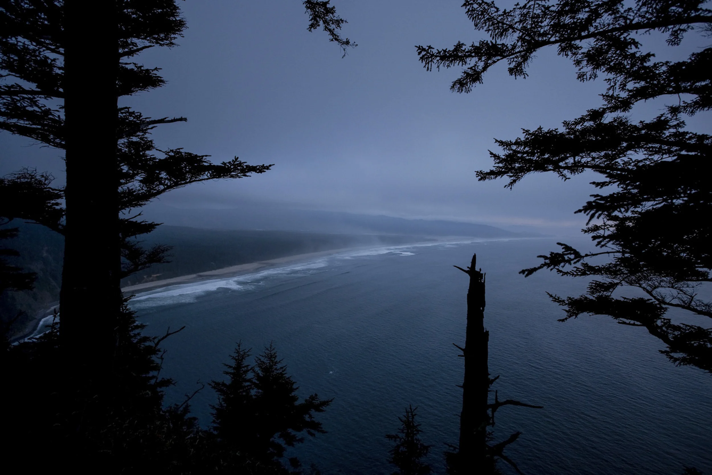 Coast through the trees, Oregon