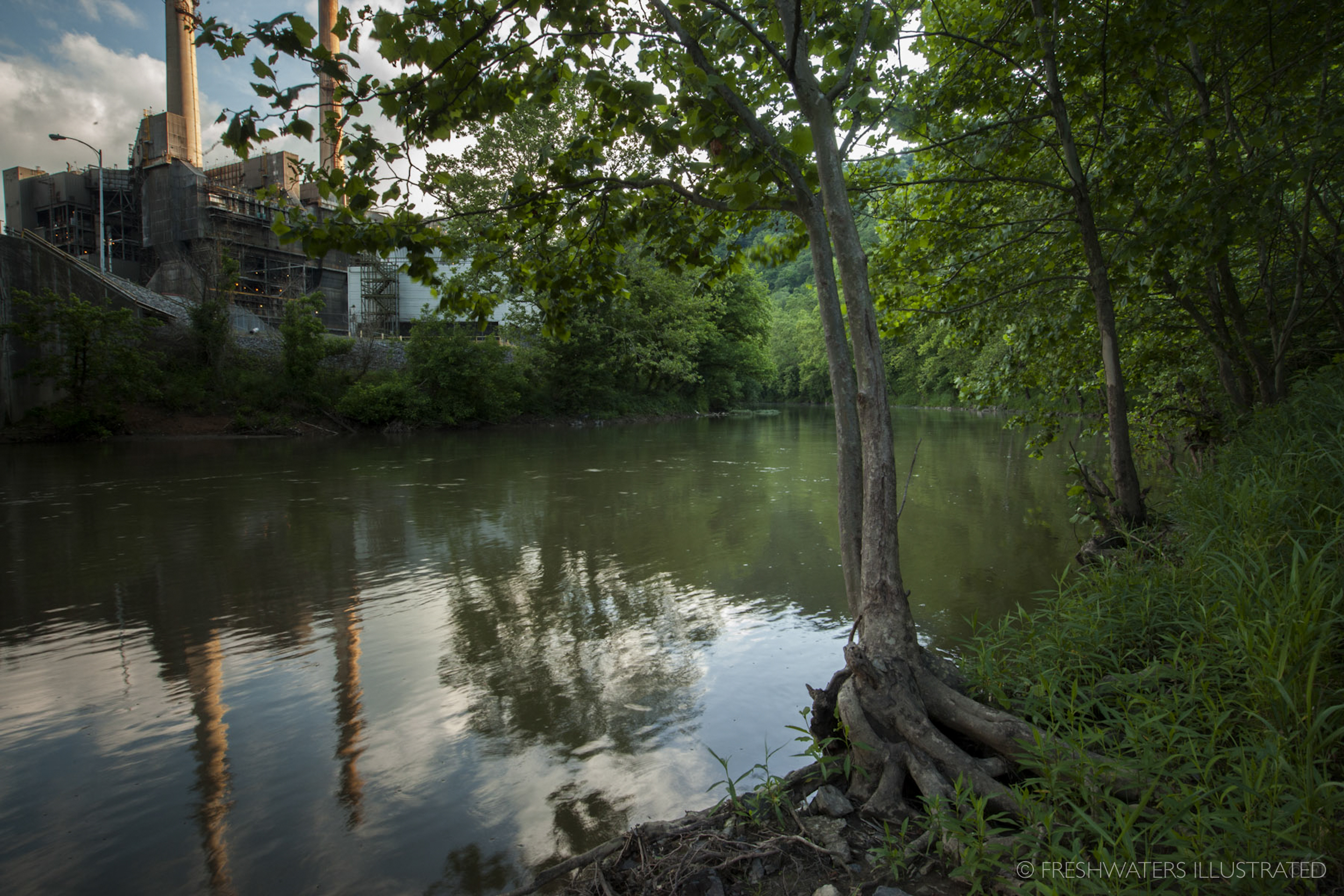  Located right on the banks of the Clinch River, the Carbo powerplant has been identified as causing water quality problems from the storage of coal ash. Located upstream from crucial freshwater mussel beds, a spill from this plant could result in th
