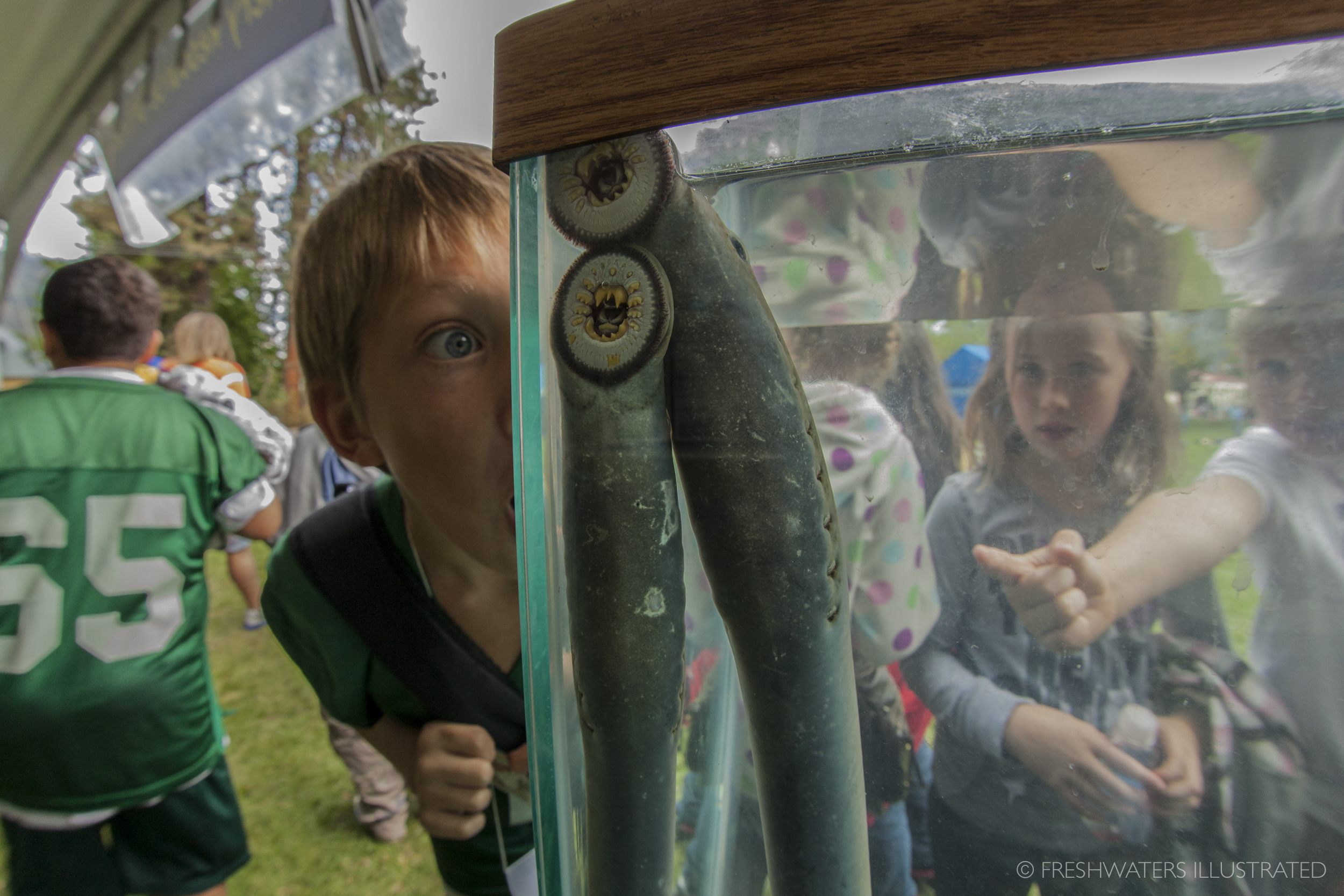  The annual salmon fest in Leavenworth Washington brings in school groups from all over Washington to learn about native fish species. The Pacific lamprey is the highlight for many of the kids. Leavenworth, Washington  www.FreshwatersIllustrated.org 