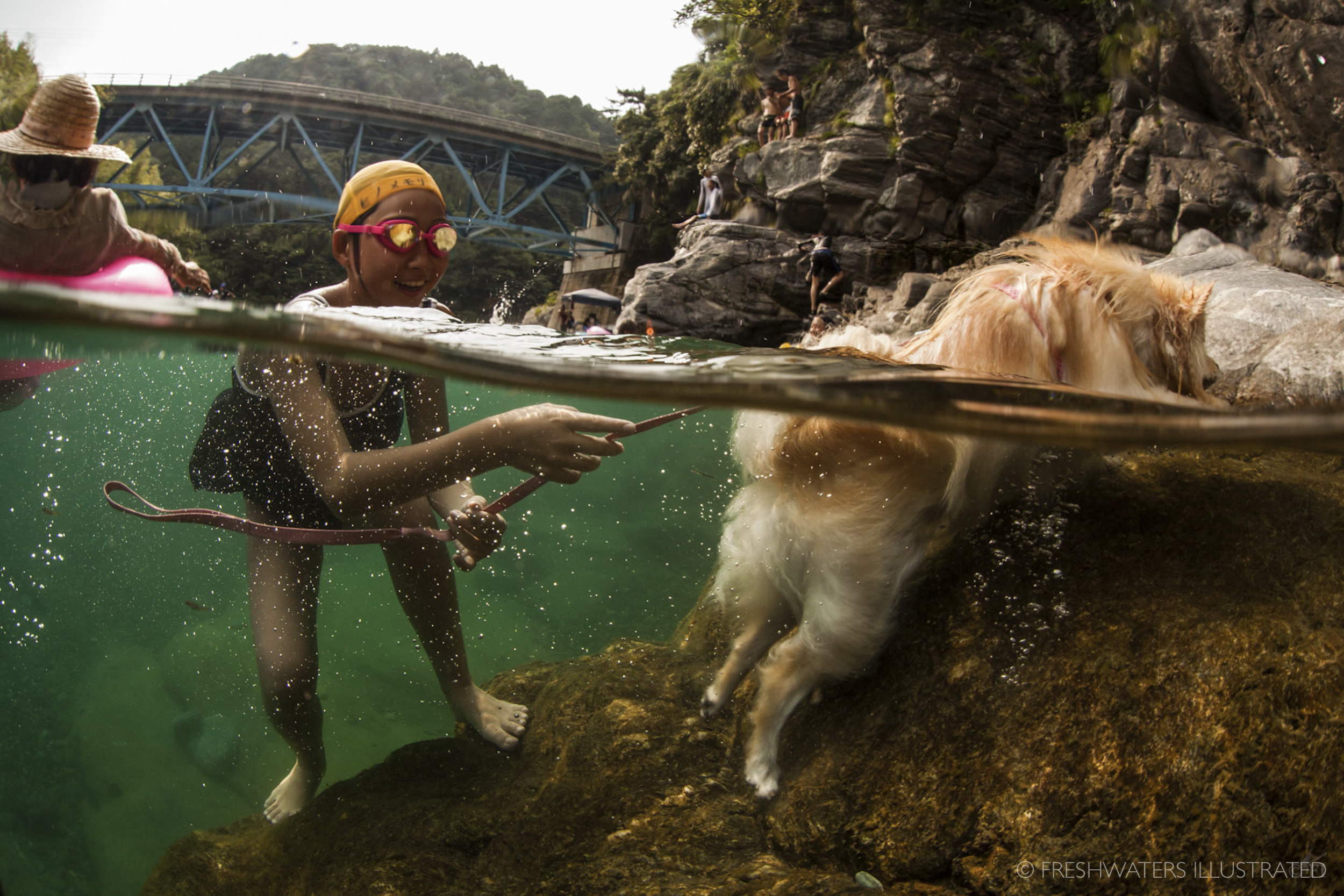  Teaching the dog to swim Kamo River, Japan  www.FreshwatersIllustrated.org  
