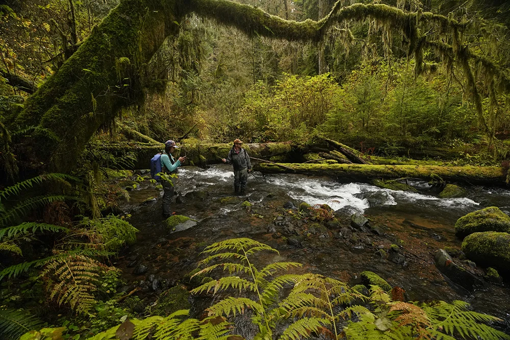 North Creek David Herasimtschuk.jpg