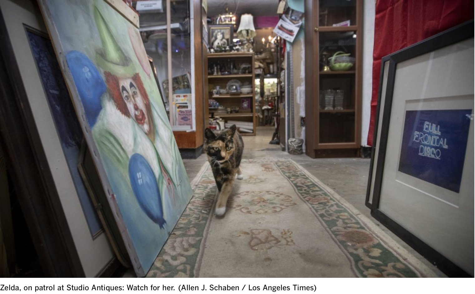 Screen Shot 2019-11-25 at 11.43.57 AM.png