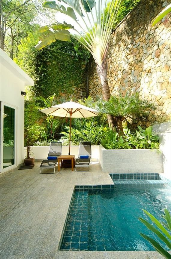 10 backyard pools to steal your heart.jpg