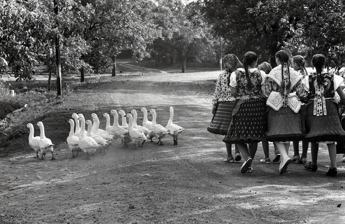 «Hungary», 1964 av Elliot Erwitt
