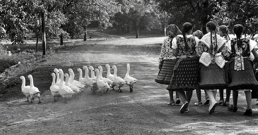 Elliot Erwitts Hungary, 1964