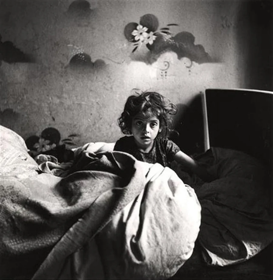 The only flowers of her youth av Roman Vishniac