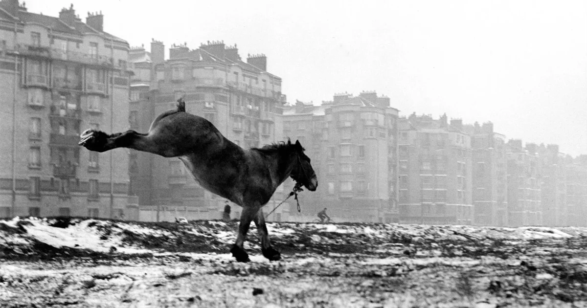 Fotografen Sabine Weiss