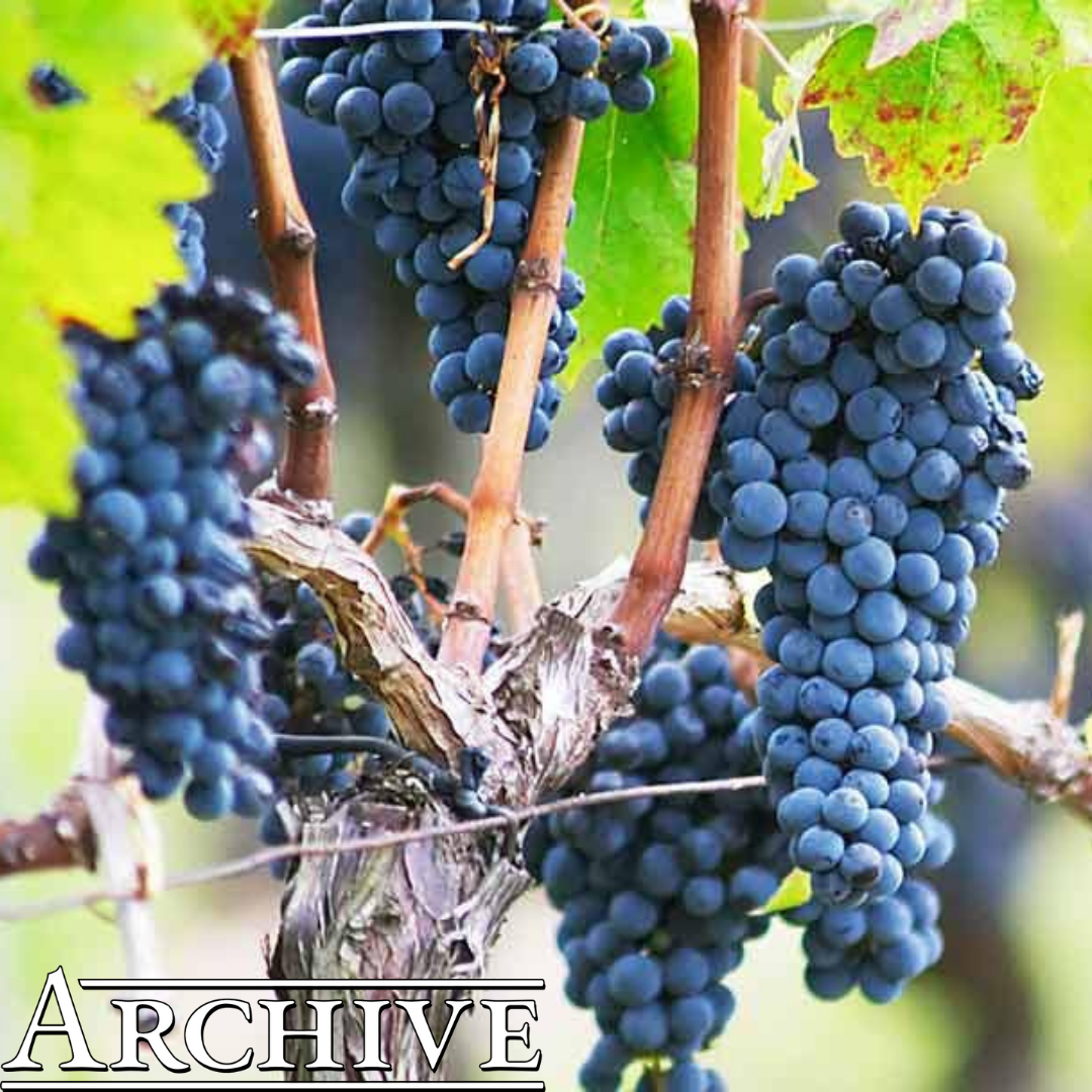 cabernet tasting.png
