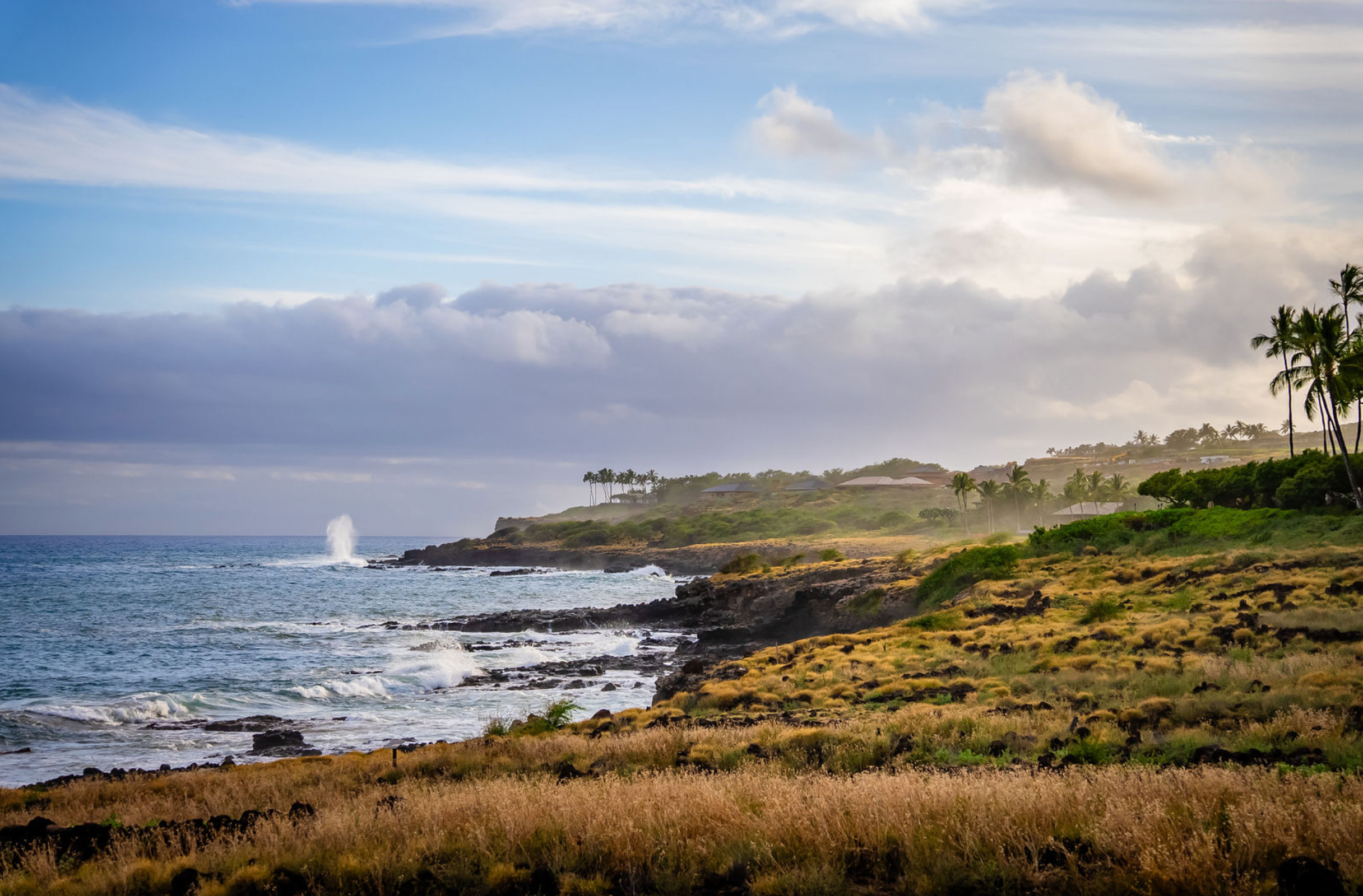 The Best Luxury Wedding Venues on Maui: An Insider’s Guide to Choosing the Perfect Location