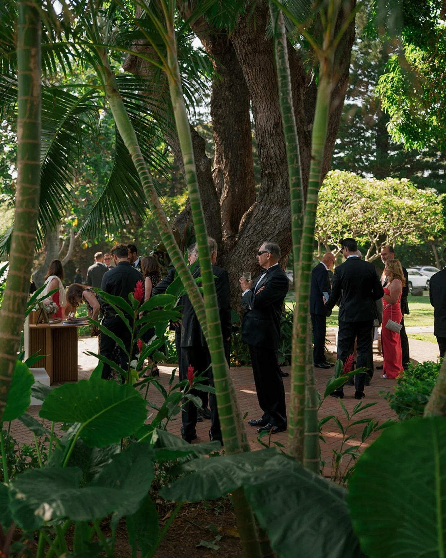 Reminiscing on this perfect gathering. The soft colors with the ocean views made it feel like a dream ✨

Planning and Design: @coutureeventshawaii
Venue: @theolowaluplantationhouse 
Florals:@mandygracedesigns
Photography:@meghanbaskin
Rentals: @artis