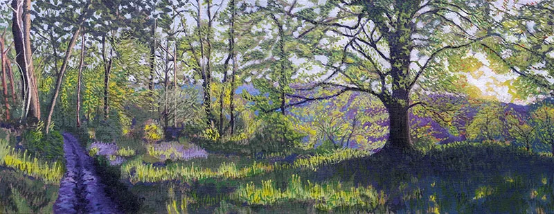 Lewesdon Bluebell Path 800.jpg