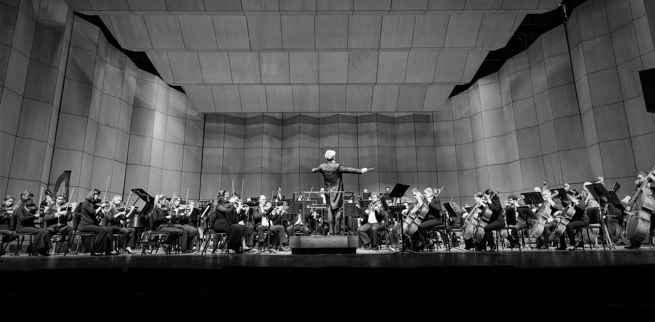 Full Orchestra 3.jpg