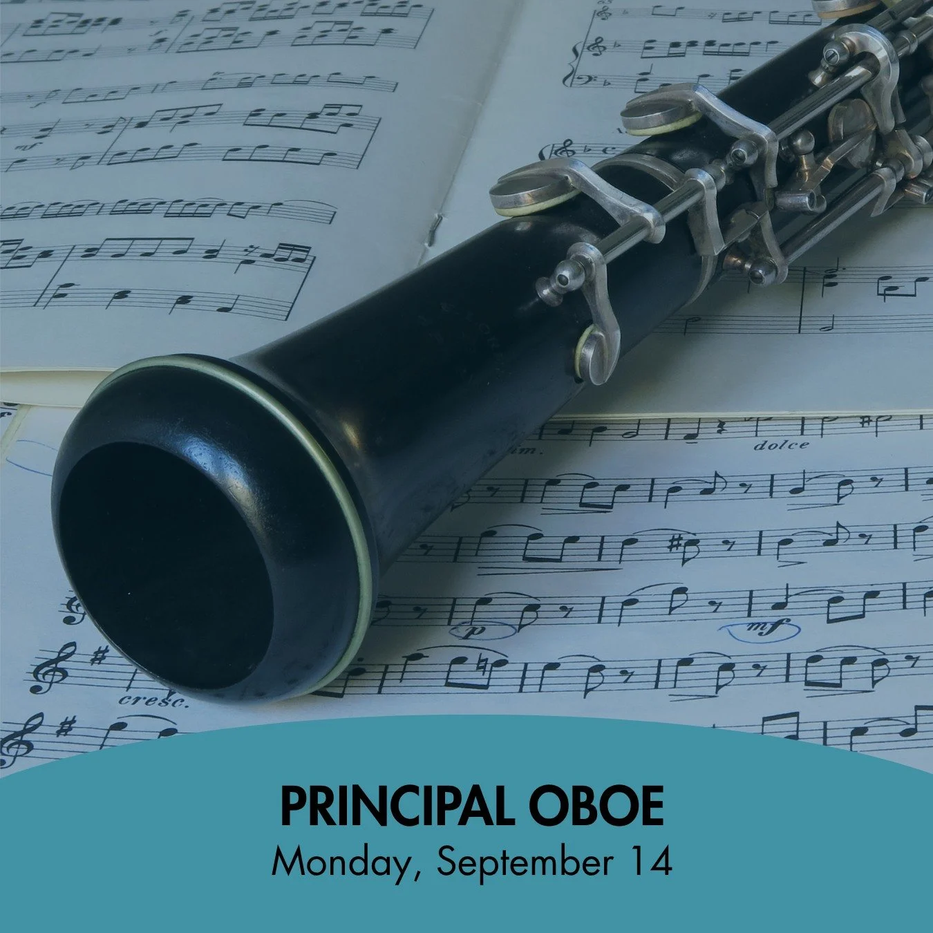 AUDITION ALERT! Want to be a part of the BRSO? See below! 👇

On Monday, September 14, we'll be holding auditions for:

Principal Oboe
Principal Horn
Horn 3

On Monday, November 9, we'll be holding auditions for: 

Principal Trombone
Principal Tuba

