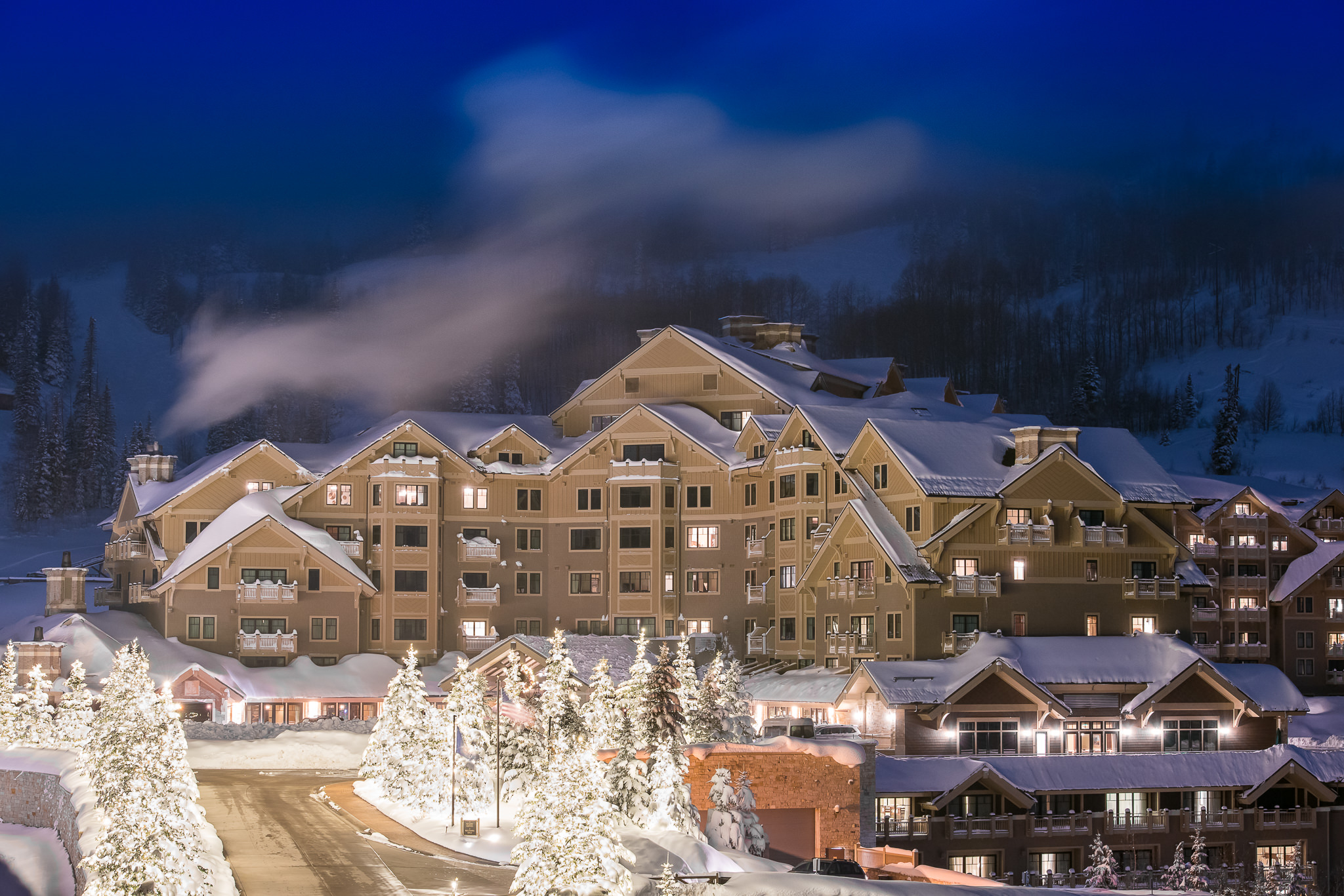 SNOWY_PC_100.jpg