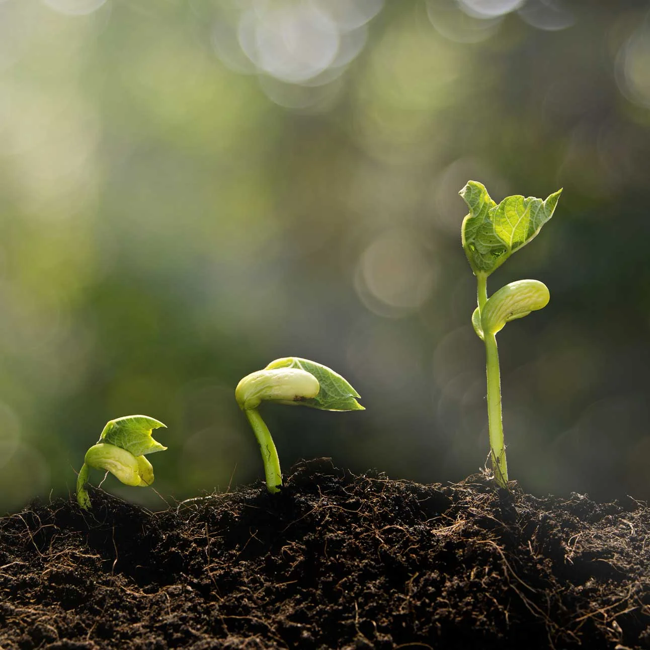 Transformational Leadership Retreats How you plan and facilitate a retreat can have a lasting impact on your culture, creating a turning point, impacting enthusiasm, focus, how people work together, and results