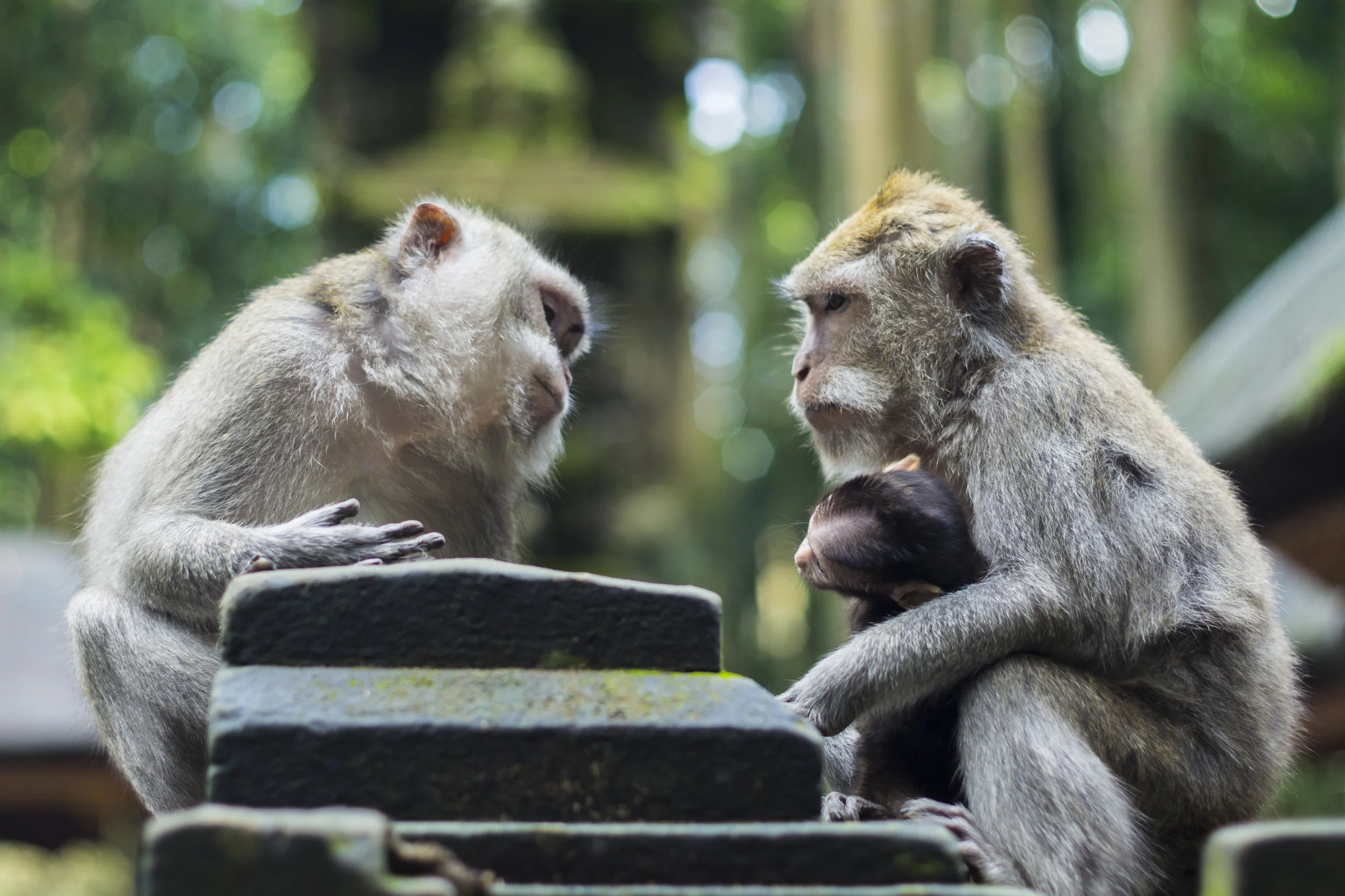 Transformational leadership, focus, and the power of conversation