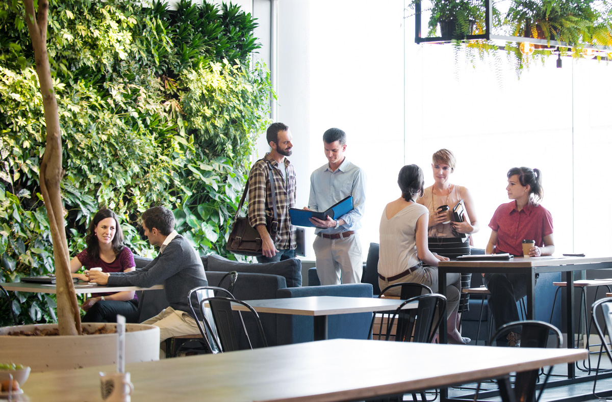 office-design-living-wall.jpg