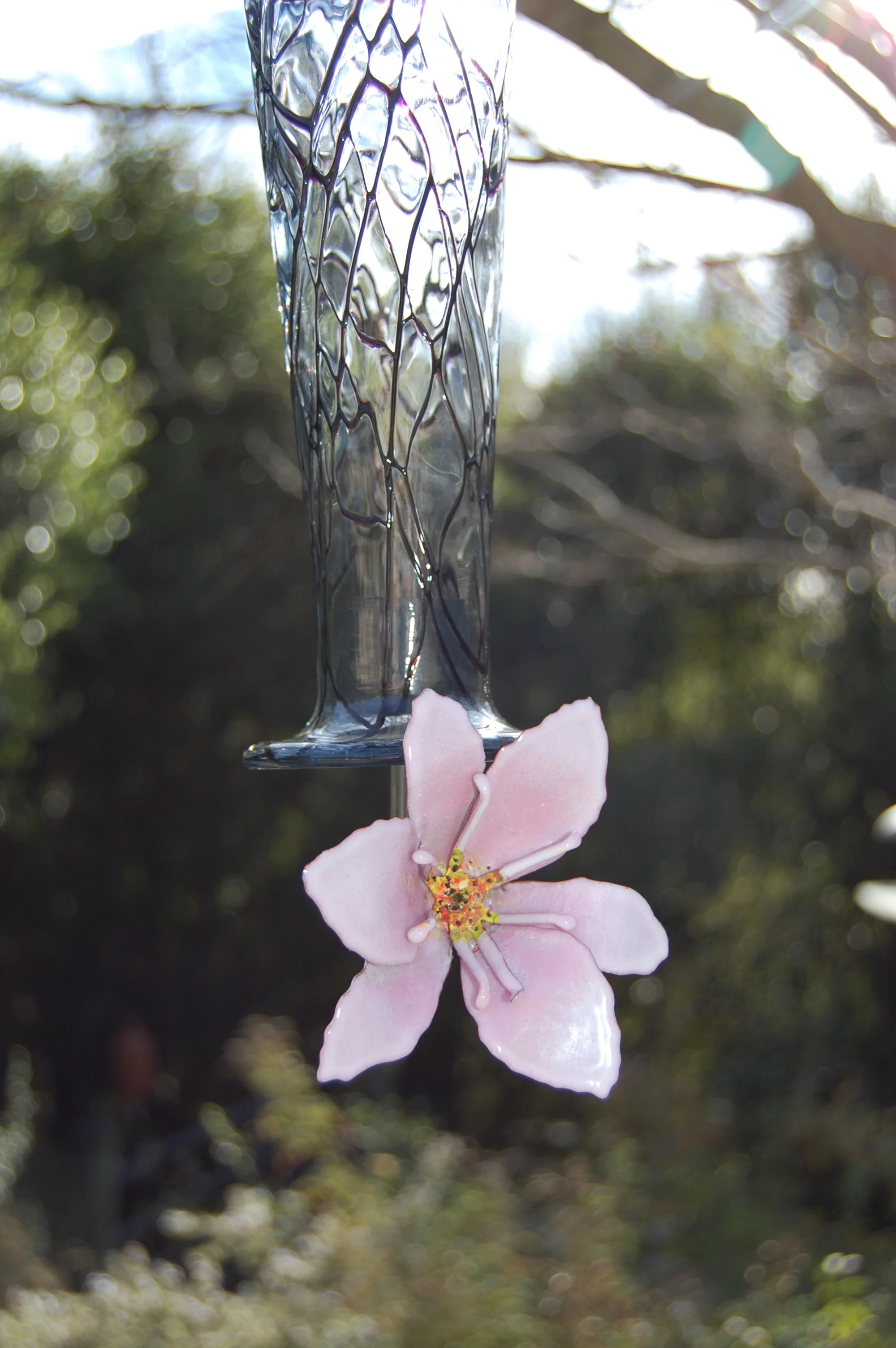 DSC_0450.jpg