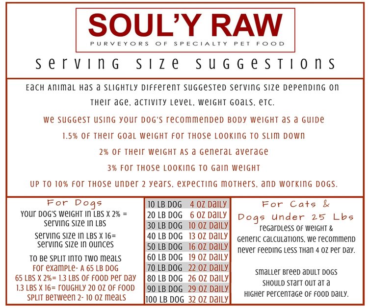 Raw Dog Food Chart