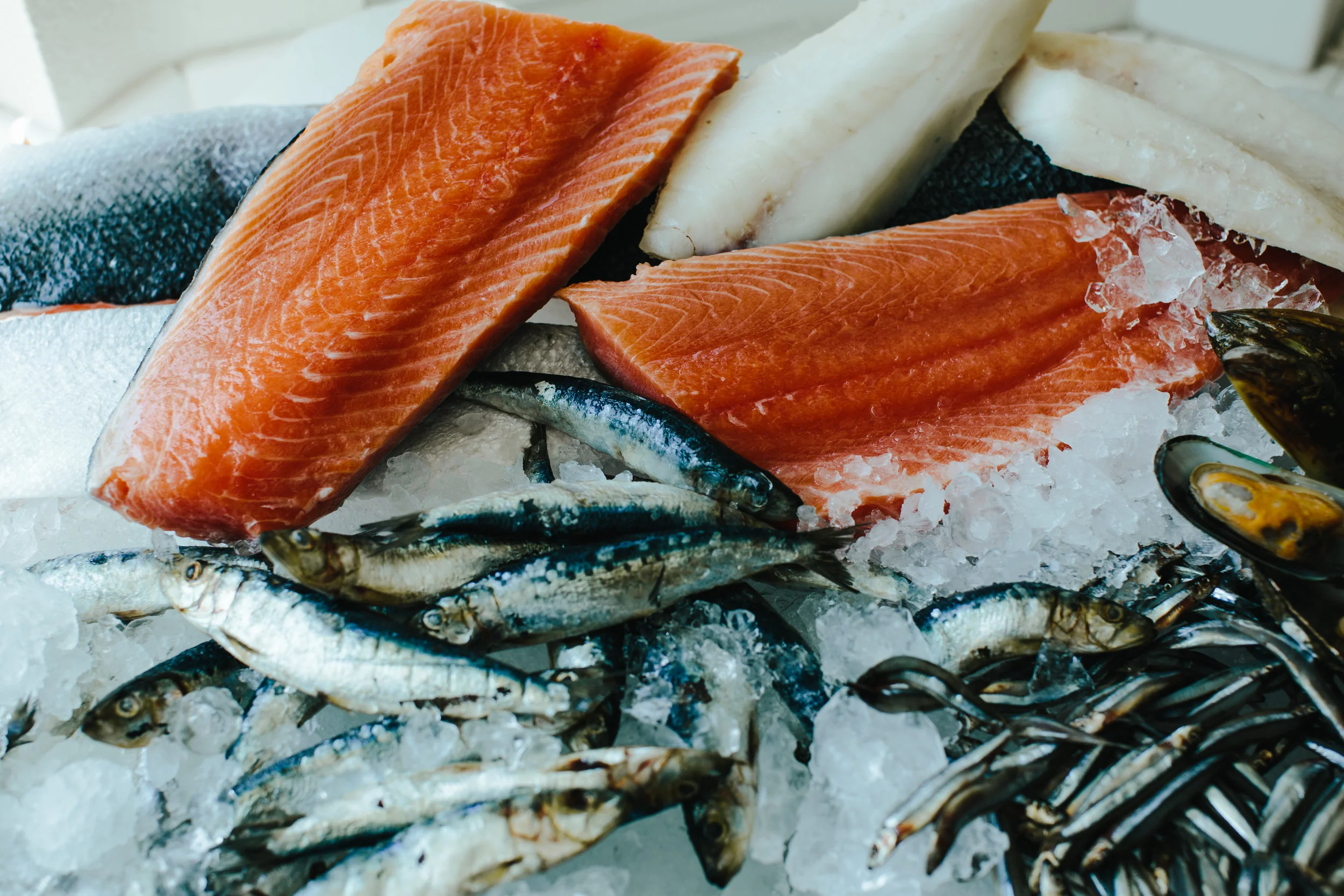 Soul'y Raw Specialty Pet Food