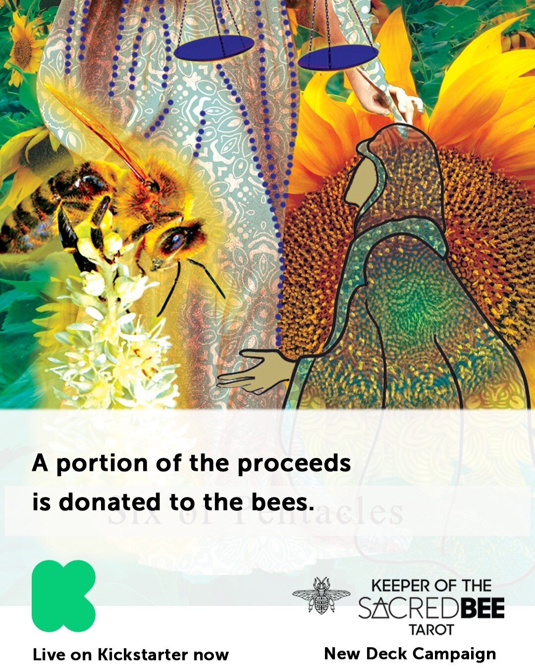 ICYMI - there is more than a tarot deck funding on Kickstarter! Thank you to those of you who helped us get to a level that we can produce them - now the important things begin! All three of the Sacred Bee decks have been created with a commitment to