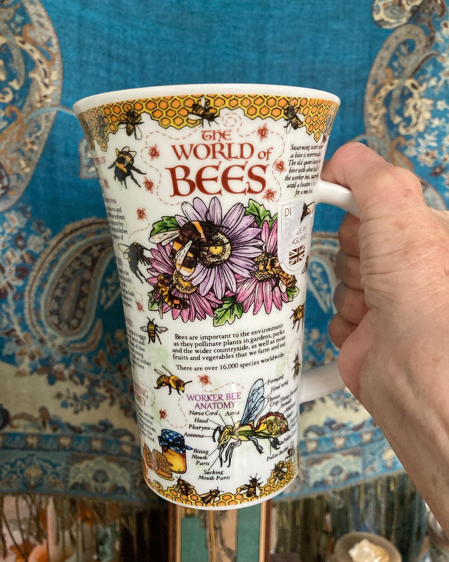 Kickstarter over and time to take a moment! My mom brought me this extra large teacup (she knows me) and every centimeter is filled with info! Inside it identifies bees.  The handle/ how to start a bee garden! I love it. 

#Keeperofthesacredbee  #sac