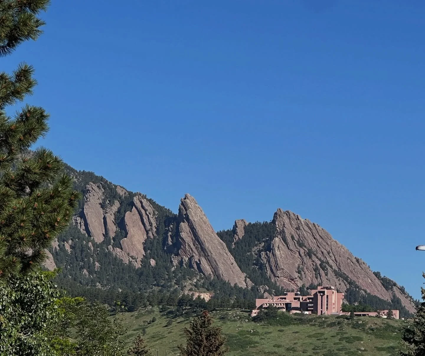 No Kings Day. But first a hike in Boulder. 

#boulderlife #nokingsday #sacredbeetarot