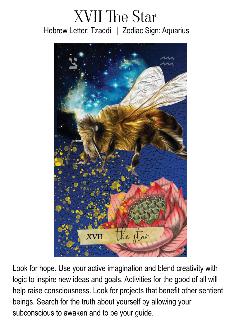 Tarot card, The star with the zodiac sign Aquarius: a large bee flying against a starry sky with galaxy clouds, surrounding a lotus flower with seeds inside, and the text "XVII the star" and "XVI" along with a message about hope and imagination.