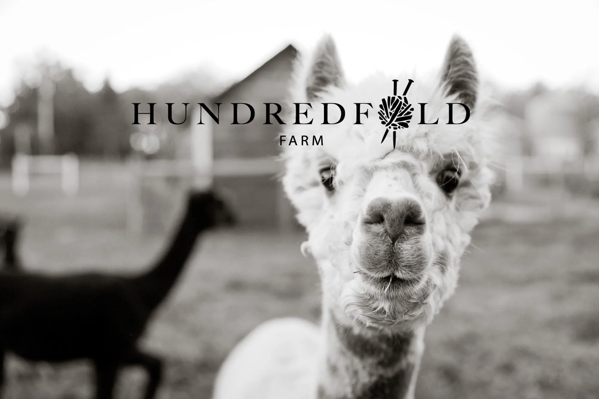 hundred fold.jpg