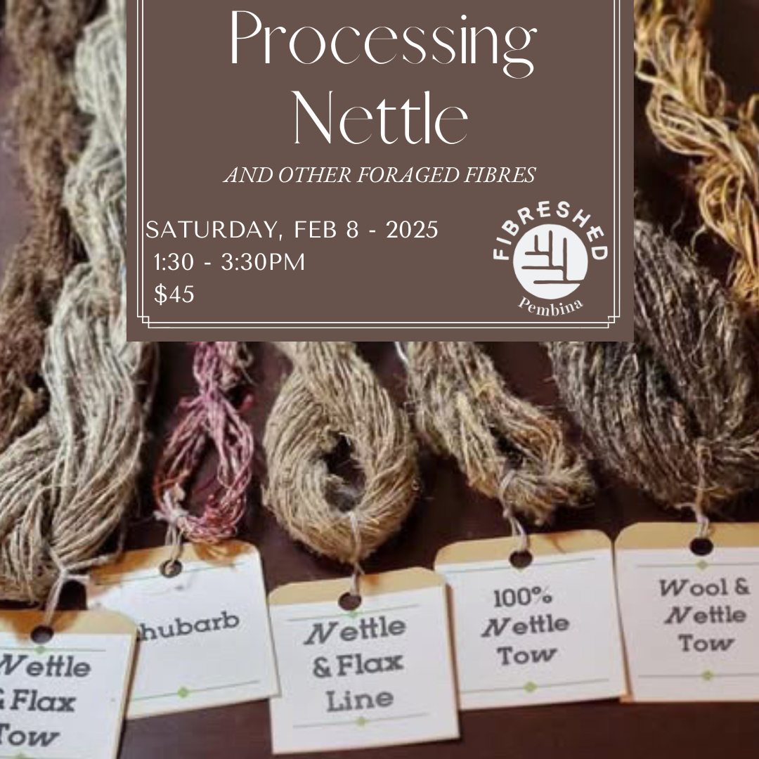 processing nettle (1).png