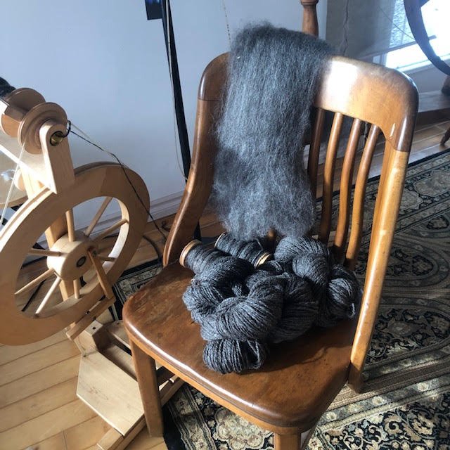 Prairie's Edge Wool Farm Team — Pembina Fibreshed