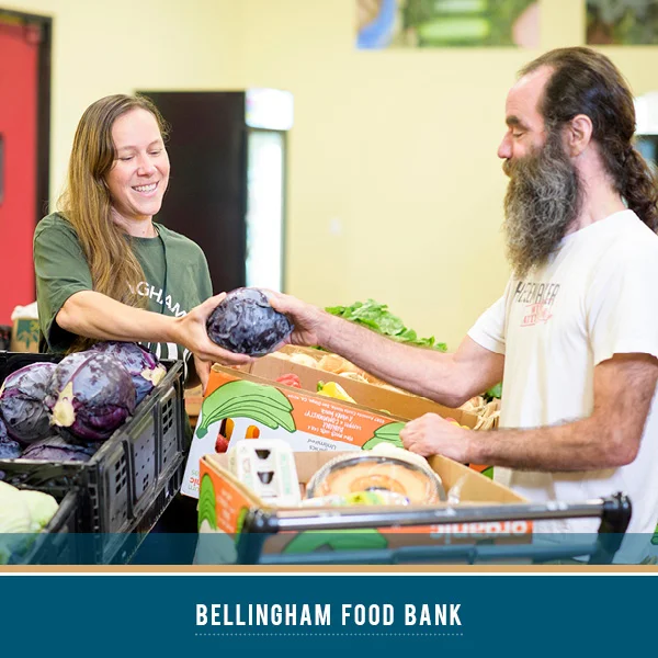 bellingham 2.jpg