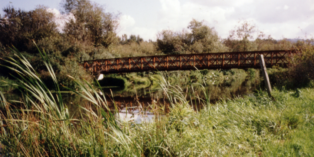 Mercer Slough Nature Park5.jpg
