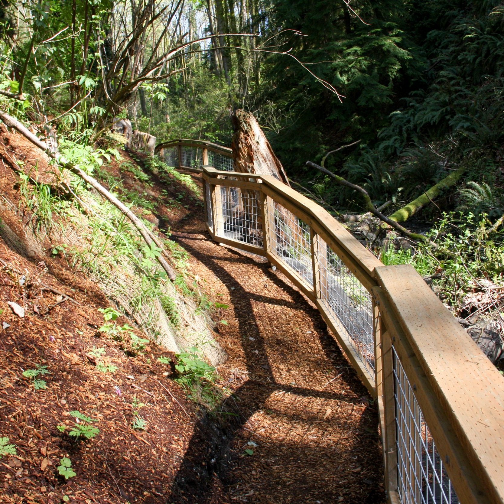 Coal Creek Natural Area