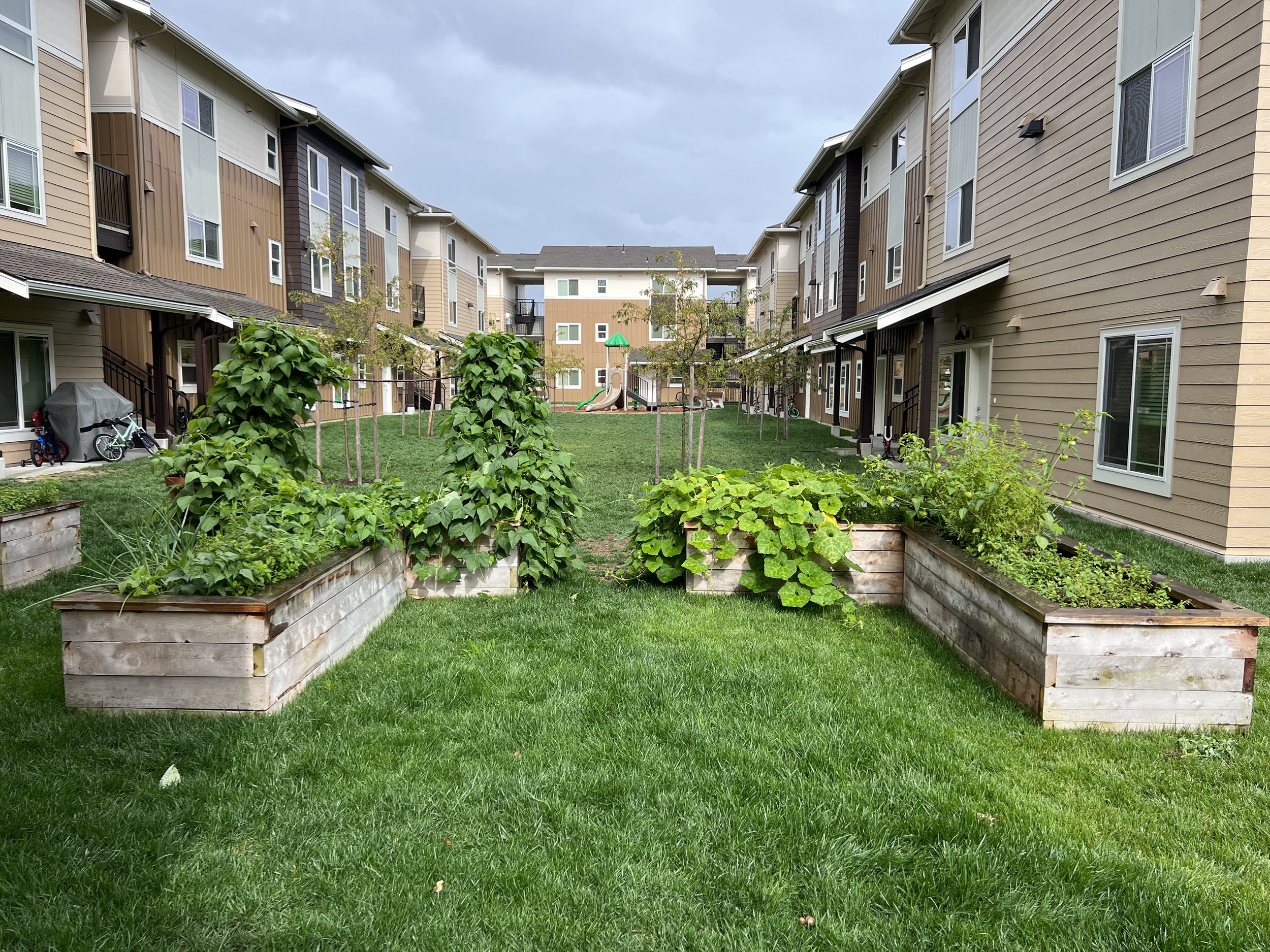  Affordable Family Housing Blooming with Natural Features 