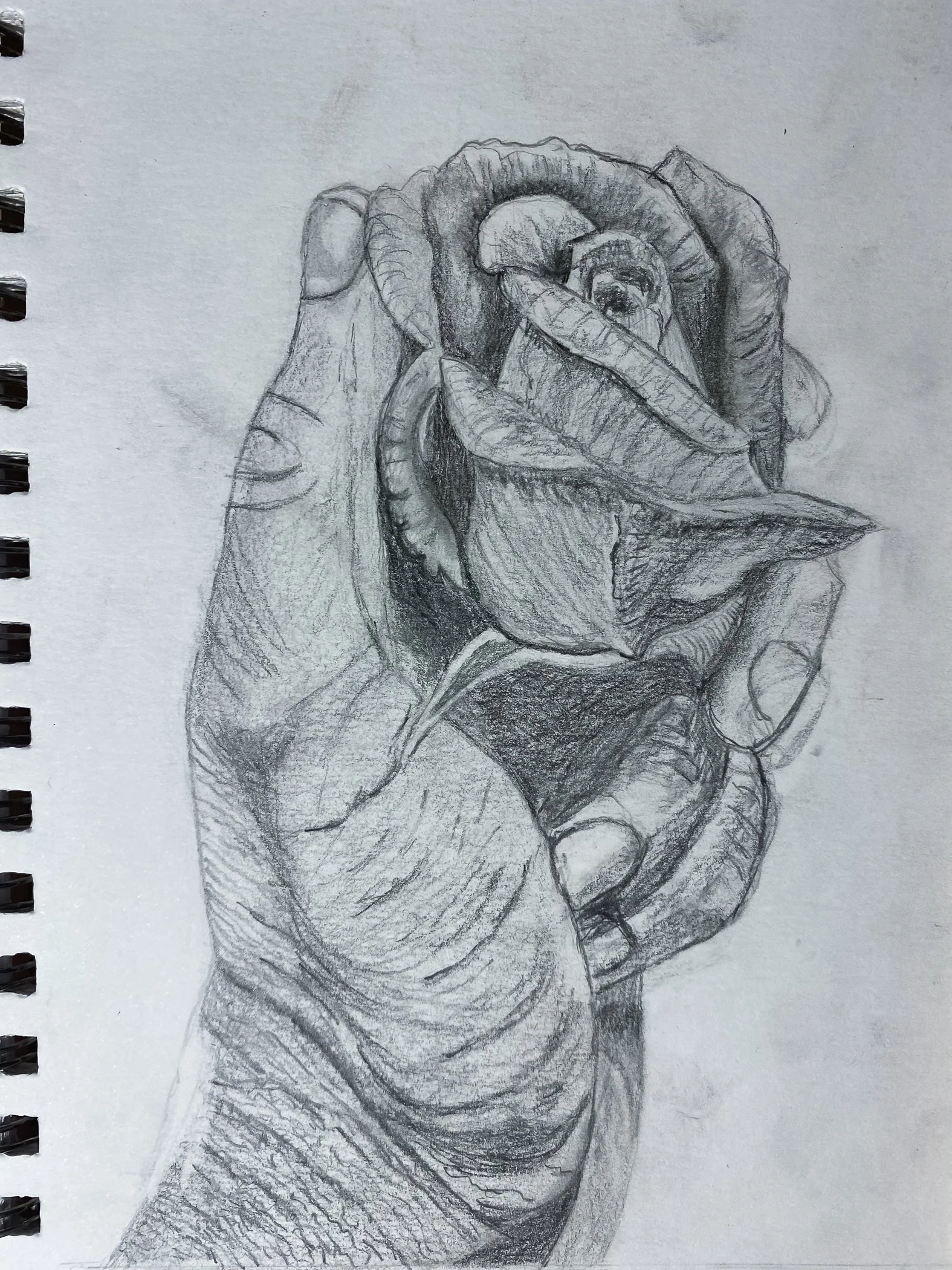 drawings for squarespace-5672.jpg