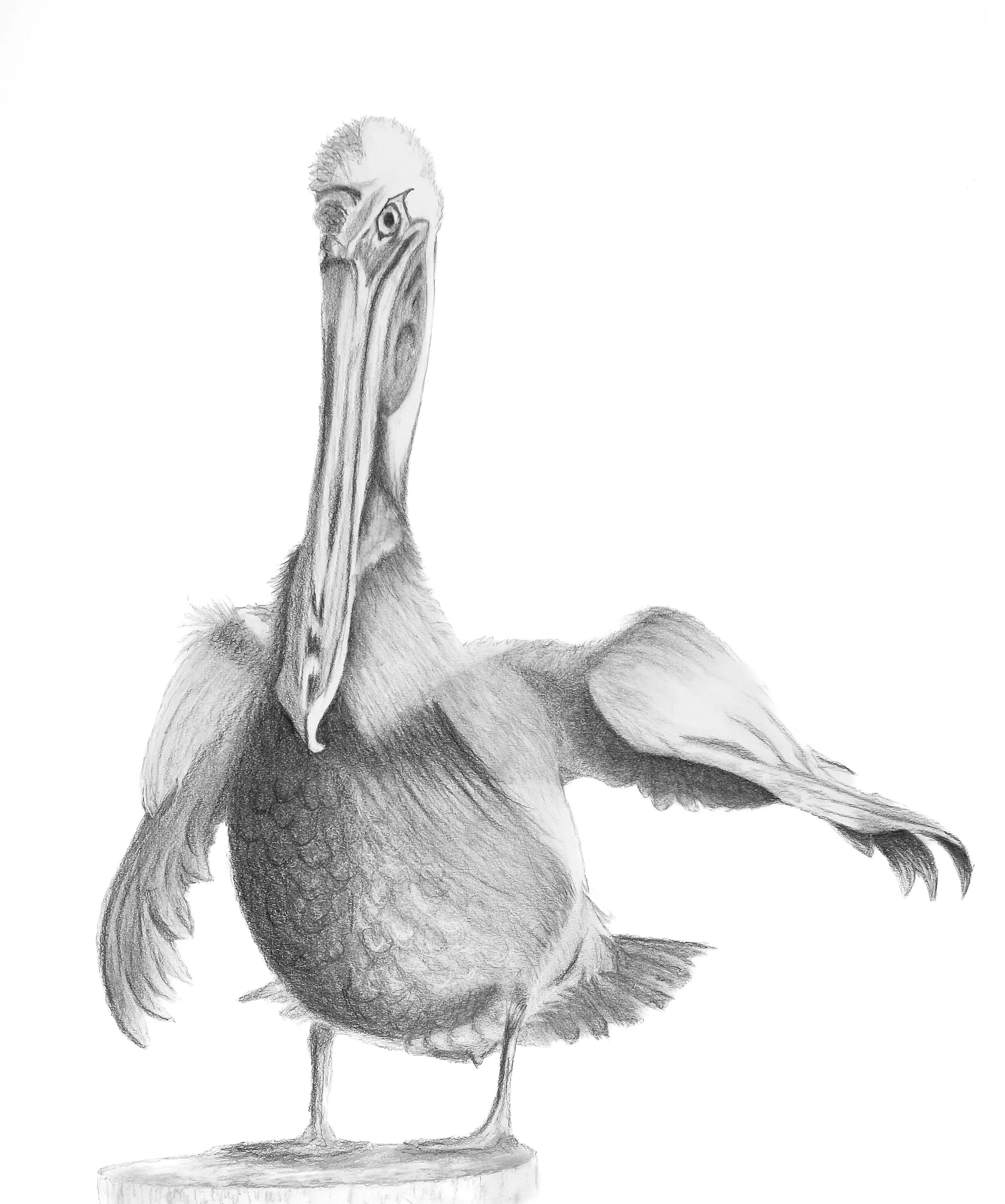 drawings-5384.jpg