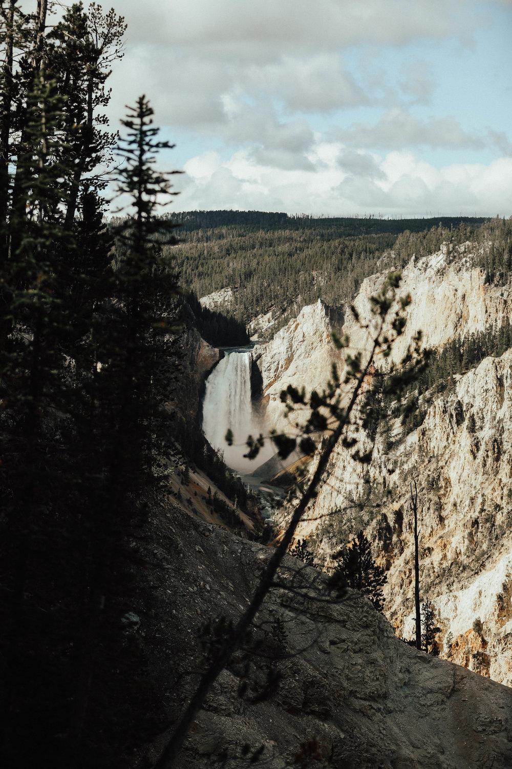 YellowstoneFalls17.jpg